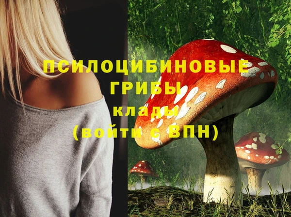 не бодяженный Волоколамск