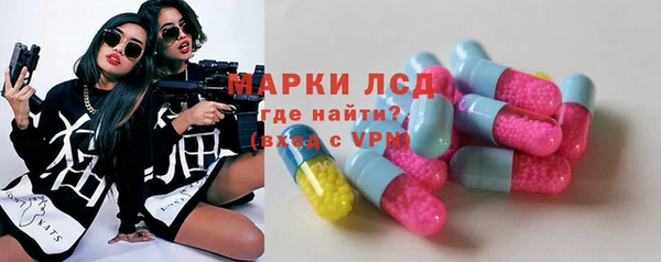 мдпв Инсар