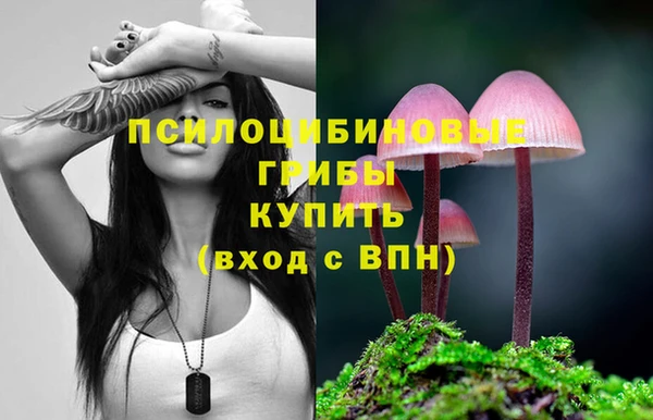 2c-b Вязьма