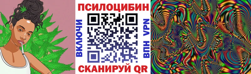 площадка формула  Кадников  Галлюциногенные грибы MAGIC MUSHROOMS 